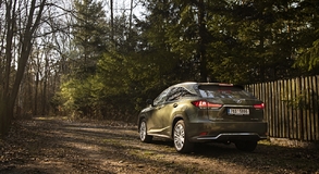 Lexus RX 450h Green - local